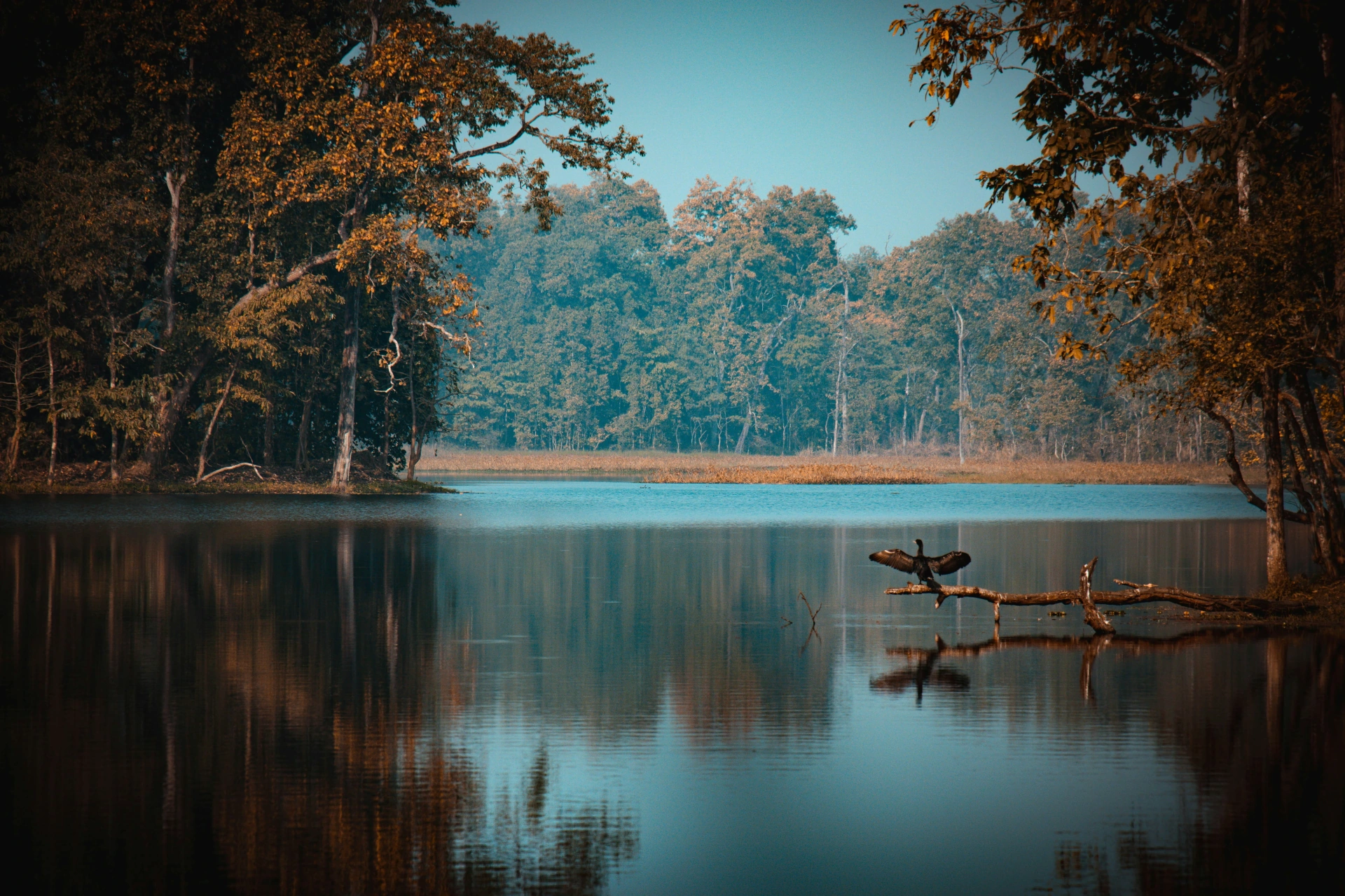 Chitwan National Park Tour