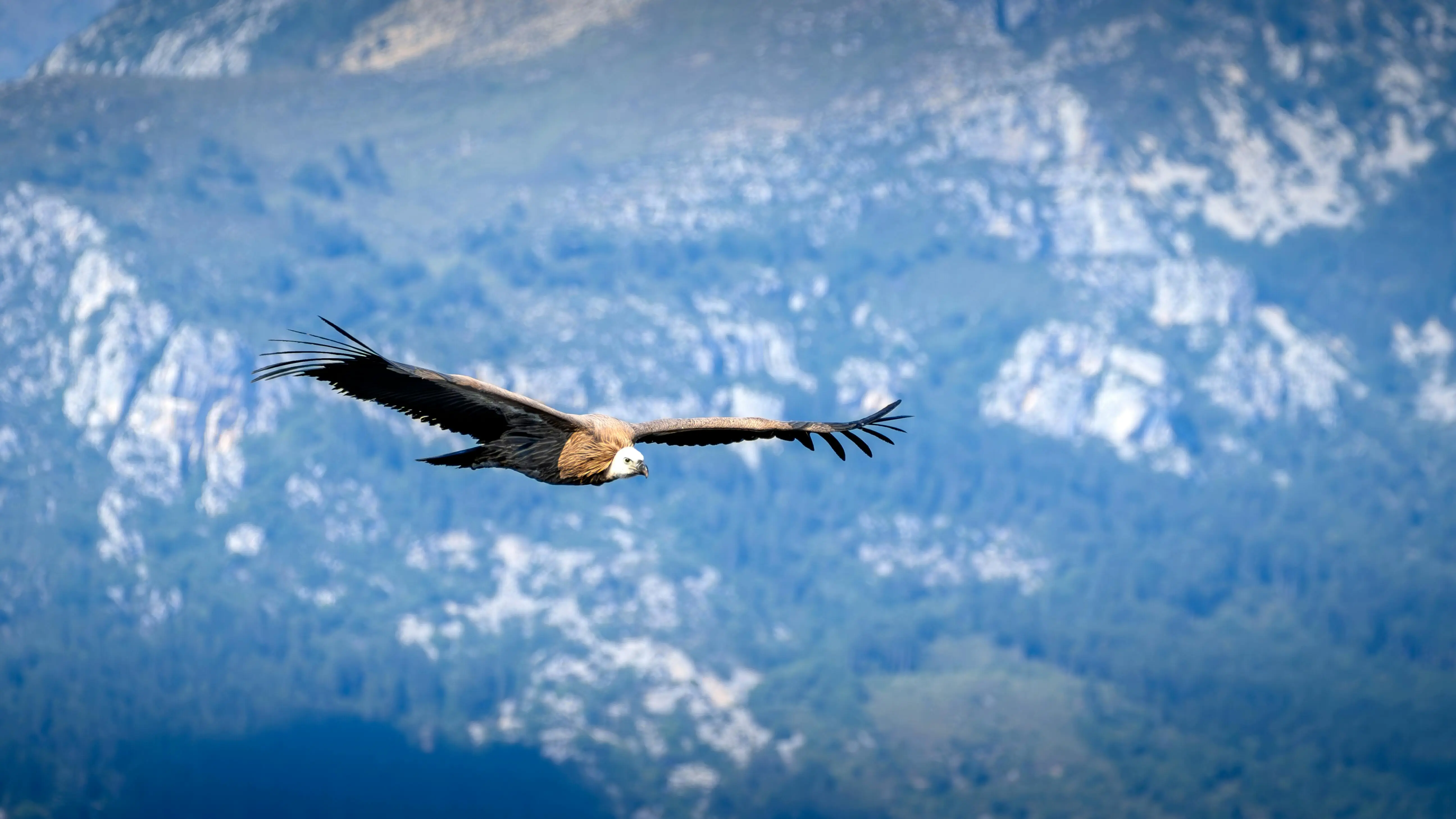 Vulture Trek guides and trekkers on mountain path